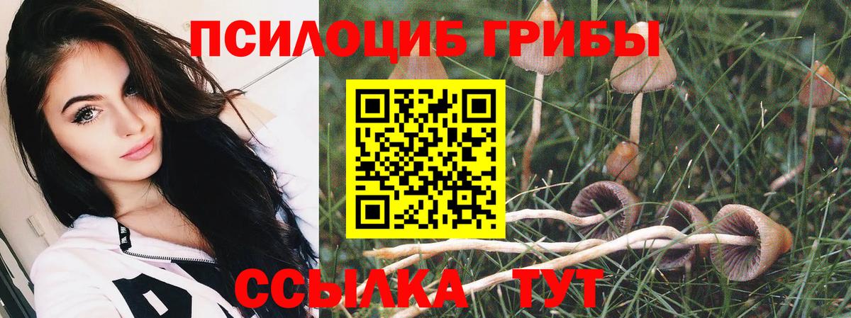 Псилоцибиновые грибы Magic Shrooms Алапаевск